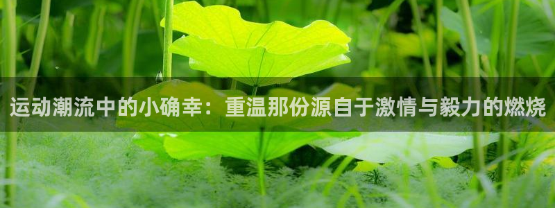杏鑫f平台注册