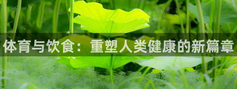 杏鑫平台开户链接