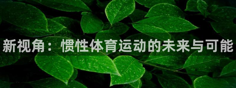 意昂体育4