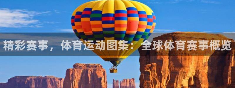 杏鑫主管