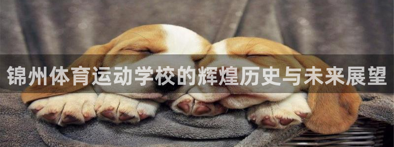 杏鑫官网入口