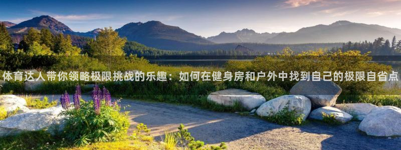 杏鑫凯捷开号链接