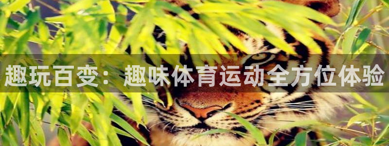 杏鑫3登录